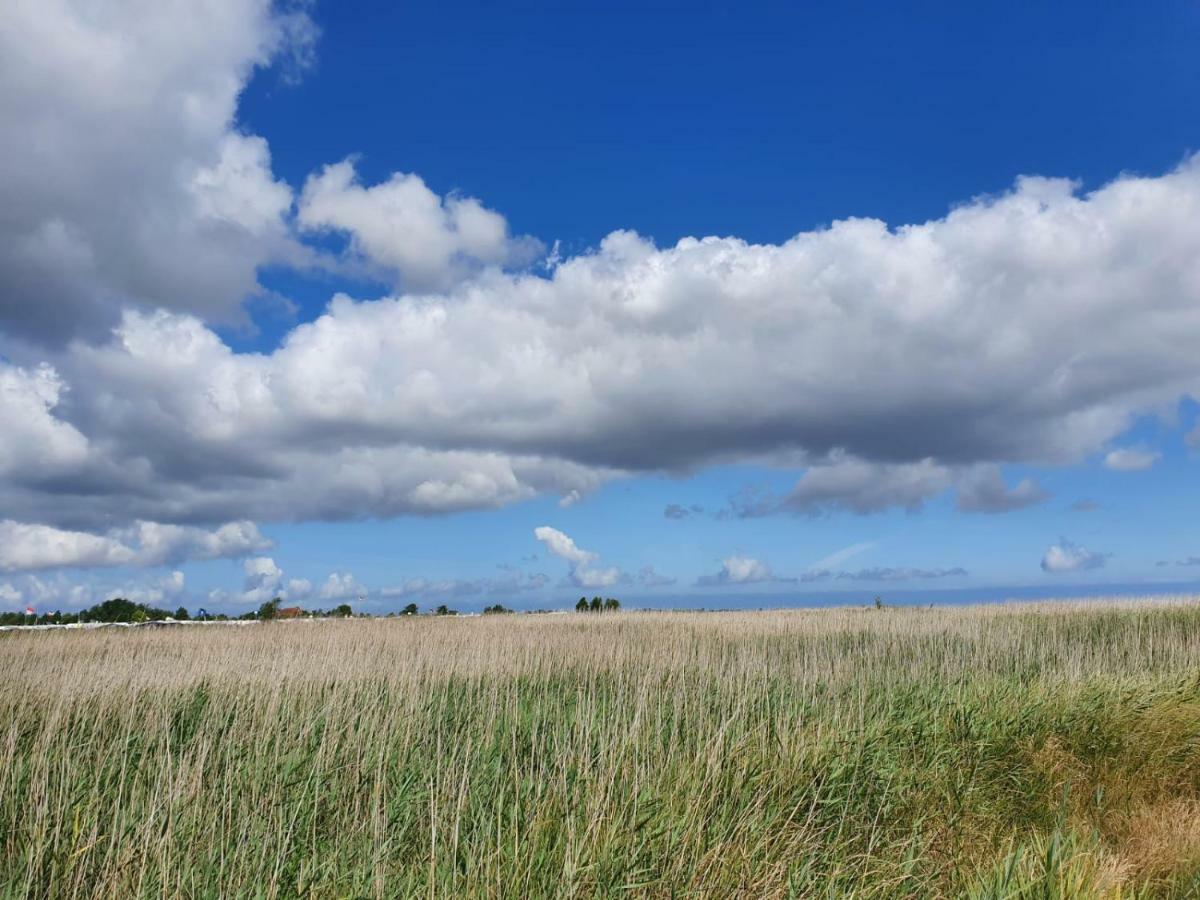 Ferienwohnung Mit Eigenem Garten In Schortens Exteriér fotografie